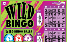 Wild Bingo Logo