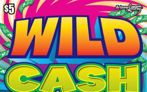 Wild Cash Logo
