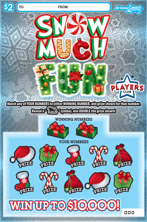 #1427 Snow Much Fun Logo